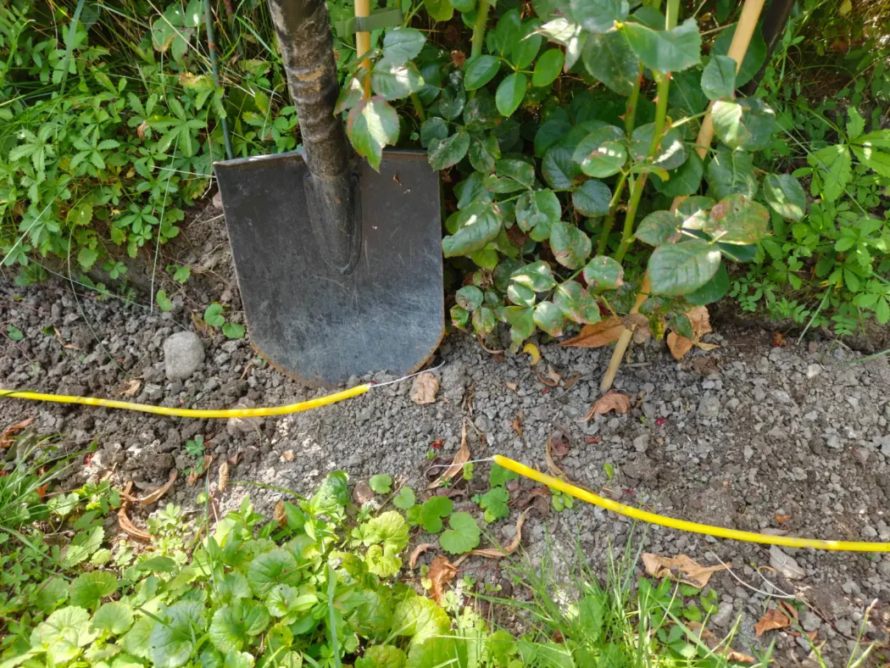 Avgrävd fiberkabel i trädgård som behöver akut reparation och lagning