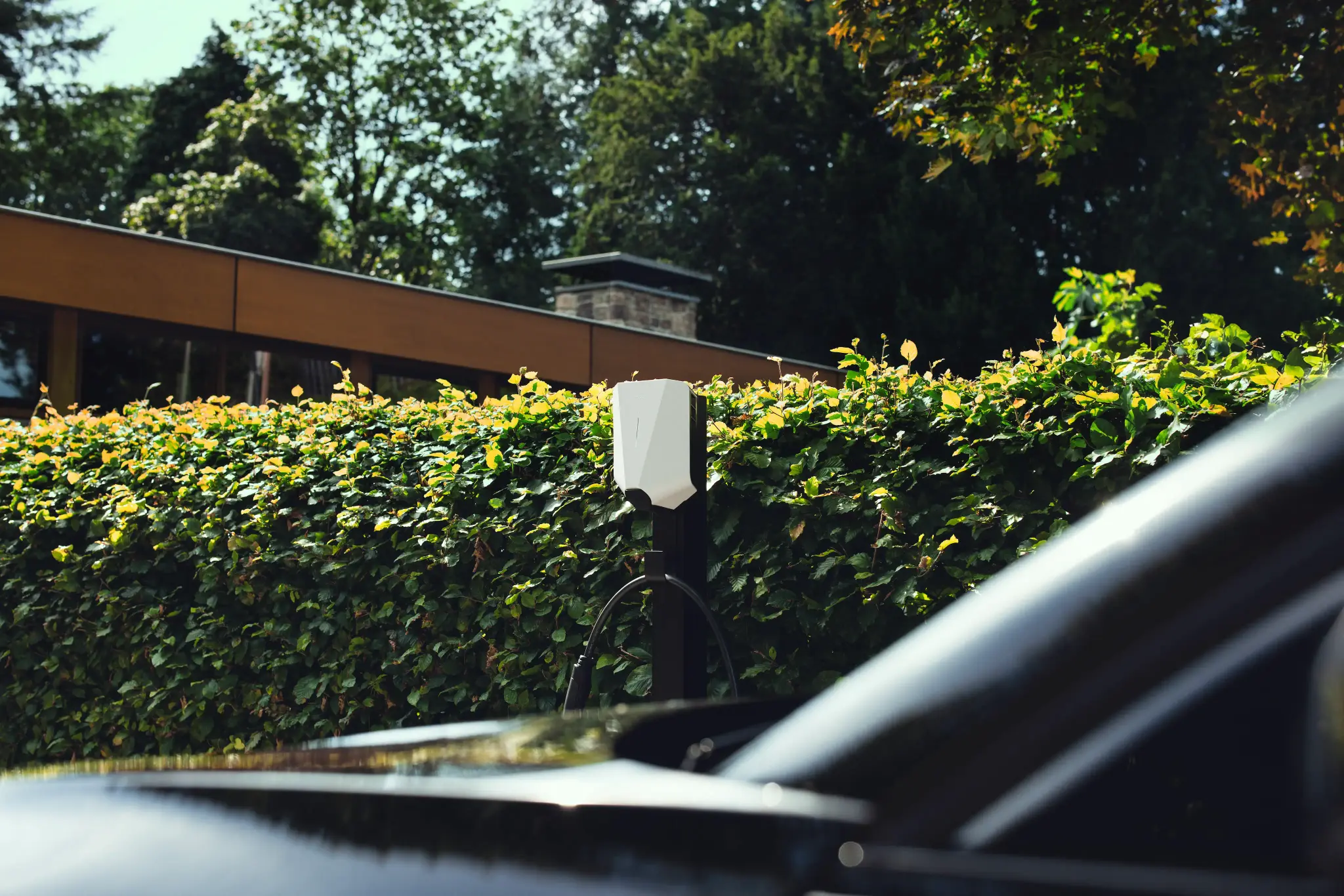 Easee Charge Up laddbox stilrent monterad på modern husvägg